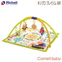 【在庫限り】リッチェル Richell キンプロ プレイジム MR