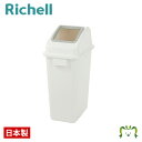 食べ残し回収ペール 45リッチェル 幅30×奥行き42.5×高さ68.6cm 容量42L ふた・本体セット ザル付き ごみ ゴミ箱 ダスト ボックス 屑 くず入...