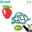 【セットでお得】【アウトレット】歯がため もちもちいちご+遊べる歯がため かめ セットリッチェル 3カ月頃〜 歯固め おしゃぶり 噛む練習 トレーニング 歯ぐず...