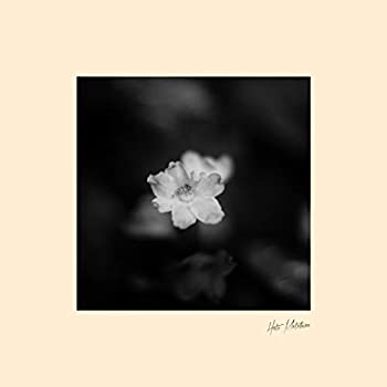 魅力的な 花 Analog 送料無料 Owmwines Cl