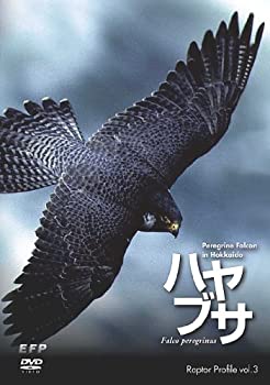 yÁzRaptor Profile vol.3 nuT Peregrine Falcon in Hokkaido [DVD]