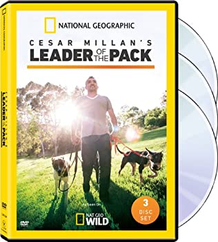 【中古】Cesar Millan: Leader of the Pack [DVD] [Import]【メーカー名】Natl Geographic Vid【メーカー型番】【ブランド名】【商品説明】【中古】Cesar Millan: Leader of the Pack [DVD] [Import]・中古品（ユーズド品）について商品画像はイメージです。中古という特性上、使用に影響ない程度の使用感・経年劣化（傷、汚れなど）がある場合がございます。商品のコンディション、付属品の有無については入荷の度異なります。また、中古品の特性上、ギフトには適しておりません。商品名に『初回』、『限定』、『〇〇付き』等の記載がございましても、特典・付属品・保証等は原則付属しておりません。付属品や消耗品に保証はございません。当店では初期不良に限り、商品到着から7日間は返品を受付けております。注文後の購入者様都合によるキャンセル・返品はお受けしていません。他モールでも併売している商品の為、完売の際は在庫確保できない場合がございます。ご注文からお届けまで1、ご注文⇒ご注文は24時間受け付けております。2、注文確認⇒ご注文後、当店から注文確認メールを送信します。3、在庫確認⇒新品、新古品：3-5日程度でお届け。※中古品は受注後に、再検品、メンテナンス等により、お届けまで3日-10日営業日程度とお考え下さい。米海外倉庫から取り寄せの商品については発送の場合は3週間程度かかる場合がございます。　※離島、北海道、九州、沖縄は遅れる場合がございます。予めご了承下さい。※配送業者、発送方法は選択できません。お電話でのお問合せは少人数で運営の為受け付けておりませんので、メールにてお問合せお願い致します。お客様都合によるご注文後のキャンセル・返品はお受けしておりませんのでご了承下さい。ご来店ありがとうございます。昭和・平成のCD、DVD、家電、音響機器など希少な商品も多数そろえています。レコード、楽器の取り扱いはございません。掲載していない商品もお探しいたします。映像商品にはタイトル最後に[DVD]、[Blu-ray]と表記しています。表記ないものはCDとなります。お気軽にメールにてお問い合わせください。