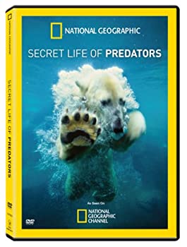 【中古】Secret Life of Predators [DVD] [Import]