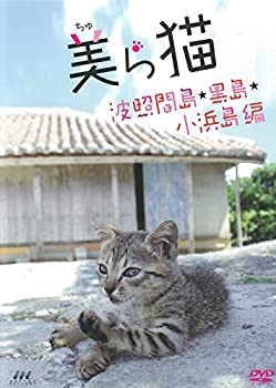 乐天商城 - 【中古】美ら猫(ちゅら猫)竹富島編 [DVD]