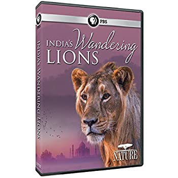 【中古】Nature: Indias Wandering Lions [DVD] [Import]