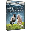 【中古】Nature: Cloud: Challenge of the Stallions [DVD] [Import]【メーカー名】PBS【メーカー型番】35386055【ブランド名】PBS商品画像はイメージです。中古という特性上、使用に影響ない程度の使用感・経年劣化（傷、汚れなど）がある場合がございます。また、中古品の特性上、ギフトには適しておりません。商品名に『初回』、『限定』、『〇〇付き』等の記載がございましても、特典・付属品・保証等は原則付属しておりません。当店では初期不良に限り、商品到着から7日間はを受付けております。(注文後の購入者様都合によるキャンセル・はお受けしていません。)他モールでも併売している商品の為、完売の際は在庫確保できない場合がございます。ご注文からお届けまで1、ご注文⇒ご注文は24時間受け付けております。2、注文確認⇒ご注文後、当店から注文確認メールを送信します。3、在庫確認⇒新品在庫：3-5日程度でお届け。　　※中古品は受注後に、再メンテナンス、梱包しますの　お届けまで3日-10日営業日程度とお考え下さい。　米海外から発送の場合は3週間程度かかる場合がございます。　※離島、北海道、九州、沖縄は遅れる場合がございます。予めご了承下さい。※配送業、発送方法は選択できません。お電話でのお問合せは少人数で運営の為受け付けておりませんので、メールにてお問合せお願い致します。お客様都合によるご注文後のキャンセル・はお受けしておりませんのでご了承下さい。ご来店ありがとうございます。昭和・平成のCD、DVD、家電、音響機器など希少な商品も多数そろえています。レコード、楽器の取り扱いはございません。掲載していない商品もお探しいたします。映像商品にはタイトル最後に[DVD]、[Blu-ray]と表記しています。表記ないものはCDとなります。お気軽にメールにてお問い合わせください。