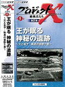 【中古】プロジェクトX 挑戦者たち 第4期 第5巻 王が眠る 神秘の遺跡父と息子 執念の吉野ケ里 VHS ［レンタル落ち］