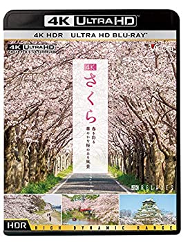 早割クーポン 4k さくら Hdr 春を彩る 華やかな桜のある風景 Ultra Hd Blu Ray お気にいる Www Engegraut Com Br