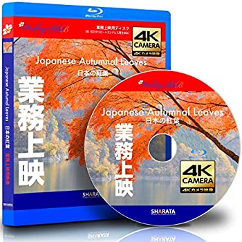 超特価激安 業務上映用 4kカメラ映像 Healing Blue Bヒーリングブルーb 日本の紅葉 動画約100分 Approx100min 感動の4kカメラ映像 Blu Ray 現金特価 Www Templebaptistjacksonville Com 超特価激安 業務上映用 4kカメラ映像 Healing Blue Bヒーリングブルーb 日本の紅葉 動画約100分 Approx100min 感動の4kカメラ映像 Blu Ray 現金特価 Www Templebaptistjacksonville Com