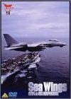 SeaWings 米海軍第5空母航空団&空母インディペンデンス 