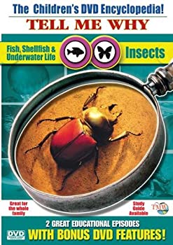 Insects & Fish Shellfish Underwater Life  