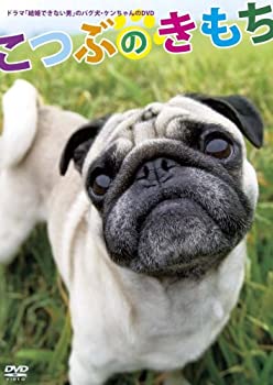 【中古】「結婚できない男」のパグ犬・ケンちゃんのDVD 「こつぶのきもち」