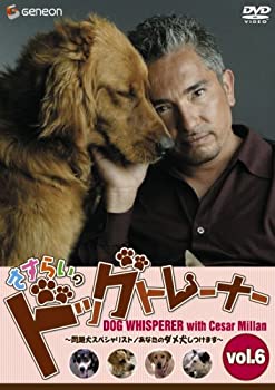 【中古】さすらいのドッグトレーナー Vol.6~問題犬スペシャリスト/あなたのダメ犬しつけます~ [DVD]