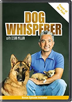 【中古】Dog Whisperer With Cesar Millan: Power of the Pack [DVD] [Import]