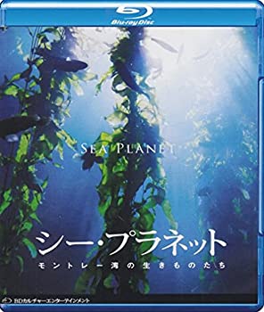 【中古】シー・プラネット モントレー湾の生き物たち [Blu-ray]