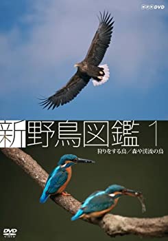 【中古】新 野鳥図 第1集 狩をする鳥/森や渓流の鳥 [DVD]