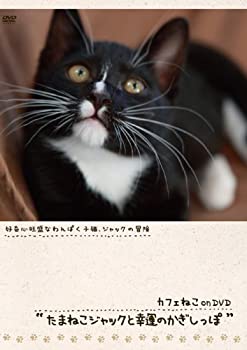 šۥեͤonDVD ޤͤåȹΤä