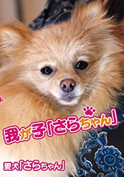 【中古】我が子「さらちゃん」 [DVD]