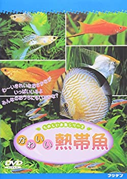 【中古】かわいい熱帯魚 [DVD]【メーカー名】ビデオメーカー【メーカー型番】【ブランド名】フジデン【商品説明】【中古】かわいい熱帯魚 [DVD]・中古品（ユーズド品）について商品画像はイメージです。中古という特性上、使用に影響ない程度の使用感・経年劣化（傷、汚れなど）がある場合がございます。商品のコンディション、付属品の有無については入荷の度異なります。また、中古品の特性上、ギフトには適しておりません。商品名に『初回』、『限定』、『〇〇付き』等の記載がございましても、特典・付属品・保証等は原則付属しておりません。付属品や消耗品に保証はございません。当店では初期不良に限り、商品到着から7日間は返品を受付けております。注文後の購入者様都合によるキャンセル・返品はお受けしていません。他モールでも併売している商品の為、完売の際は在庫確保できない場合がございます。ご注文からお届けまで1、ご注文⇒ご注文は24時間受け付けております。2、注文確認⇒ご注文後、当店から注文確認メールを送信します。3、在庫確認⇒新品、新古品：3-5日程度でお届け。※中古品は受注後に、再検品、メンテナンス等により、お届けまで3日-10日営業日程度とお考え下さい。米海外倉庫から取り寄せの商品については発送の場合は3週間程度かかる場合がございます。　※離島、北海道、九州、沖縄は遅れる場合がございます。予めご了承下さい。※配送業者、発送方法は選択できません。お電話でのお問合せは少人数で運営の為受け付けておりませんので、メールにてお問合せお願い致します。お客様都合によるご注文後のキャンセル・返品はお受けしておりませんのでご了承下さい。ご来店ありがとうございます。昭和・平成のCD、DVD、家電、音響機器など希少な商品も多数そろえています。レコード、楽器の取り扱いはございません。掲載していない商品もお探しいたします。映像商品にはタイトル最後に[DVD]、[Blu-ray]と表記しています。表記ないものはCDとなります。お気軽にメールにてお問い合わせください。