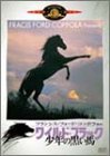【中古】ワイルド・ブラック/少年の黒い馬 [DVD]