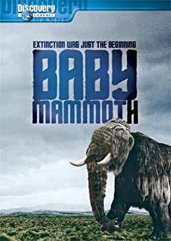 【中古】Baby Mammoth: Raising the Mammoth [DVD] [Import]