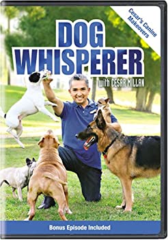 Dog Whisperer With Cesar Millan: Canine Makeovers  