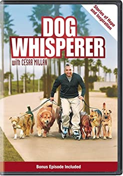 【中古】Dog Whisperer: Stories of Hope & Inspiration [DVD] [Import]