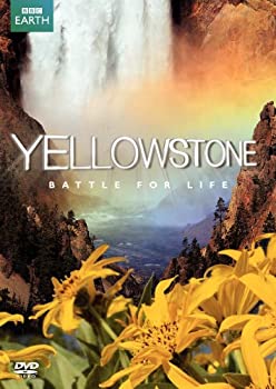 【中古】Yellowstone: Battle for Life [DVD] [Import]