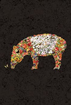 【中古】spark of FLOWER [DVD]【メーカー名】KRE【メーカー型番】【ブランド名】Ki/oon Sony キューン ソニー商品画像はイメージです。中古という特性上、使用に影響ない程度の使用感・経年劣化（傷、汚れなど）がある...