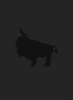 【中古】スキマスイッチ ARENA TOUR’07 W-ARENA THE MOVIE [DVD]