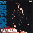 【中古】THE BIG GIG [DVD]