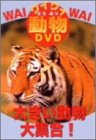 【中古】ワイワイ動物DVD 大きい動物大集合!(2.0)