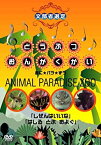 【中古】どうぶつおんがくかい あに★パラ★ずうANIMAL PARADISE ZOO 「しぜんはいいな」「はしる とぶ およぐ」 [DVD]