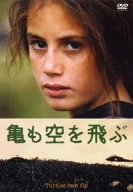 【中古】亀も空を飛ぶ [DVD]