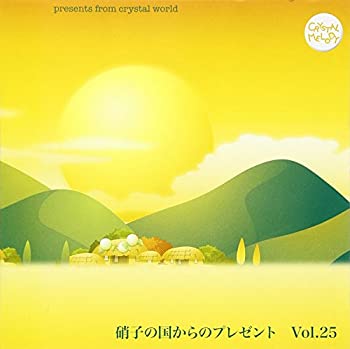 š۾˻Ҥι񤫤Υץ쥼 Vol.25