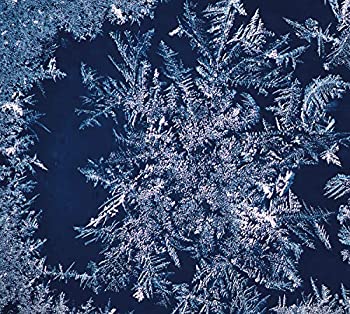 【中古】THA BLUE HERB