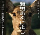 【中古】鹿男あをによし オリジナルサウンドトラック