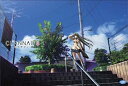 【中古】CLANNAD 8 (初回限定版) [DVD]【メーカー名】ポニーキャニオン【メーカー型番】【ブランド名】ポニーキャニオン【商品説明】【中古】CLANNAD 8 (初回限定版) [DVD]・中古品（ユーズド品）について商品画像はイメージです。中古という特性上、使用に影響ない程度の使用感・経年劣化（傷、汚れなど）がある場合がございます。商品のコンディション、付属品の有無については入荷の度異なります。また、中古品の特性上、ギフトには適しておりません。商品名に『初回』、『限定』、『〇〇付き』等の記載がございましても、特典・付属品・保証等は原則付属しておりません。付属品や消耗品に保証はございません。当店では初期不良に限り、商品到着から7日間は返品を受付けております。注文後の購入者様都合によるキャンセル・返品はお受けしていません。他モールでも併売している商品の為、完売の際は在庫確保できない場合がございます。ご注文からお届けまで1、ご注文⇒ご注文は24時間受け付けております。2、注文確認⇒ご注文後、当店から注文確認メールを送信します。3、在庫確認⇒新品、新古品：3-5日程度でお届け。※中古品は受注後に、再検品、メンテナンス等により、お届けまで3日-10日営業日程度とお考え下さい。米海外倉庫から取り寄せの商品については発送の場合は3週間程度かかる場合がございます。　※離島、北海道、九州、沖縄は遅れる場合がございます。予めご了承下さい。※配送業者、発送方法は選択できません。お電話でのお問合せは少人数で運営の為受け付けておりませんので、メールにてお問合せお願い致します。お客様都合によるご注文後のキャンセル・返品はお受けしておりませんのでご了承下さい。ご来店ありがとうございます。昭和・平成のCD、DVD、家電、音響機器など希少な商品も多数そろえています。レコード、楽器の取り扱いはございません。掲載していない商品もお探しいたします。映像商品にはタイトル最後に[DVD]、[Blu-ray]と表記しています。表記ないものはCDとなります。お気軽にメールにてお問い合わせください。