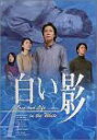 【中古】DVD白い影(4)