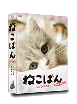【中古】連続テレビドラマ ねこばん DVD-BOX