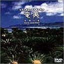 【中古】virtual trip 奄美 DVD