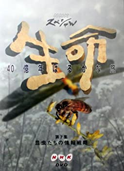 【中古】NHKスペシャル 生命40億年はるかな旅 第7集:昆虫たちの情報戦略 [DVD]