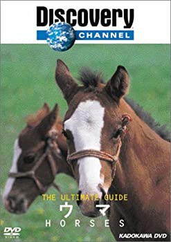 šۥǥХ꡼ͥ The Ultimate Guide  [DVD]