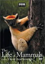 【中古】Life of Mammals 3 [DVD] [Import]【メーカー名】BBC Warner【メーカー型番】【ブランド名】BBC Warner【商品説明】中古商品のご購入時はご購入前に必ず確認をお願いいたします。商品画像はイメージです。中古という特性上、使用に影響ない程度の使用感・経年劣化（傷、汚れなど）がある場合がございます。また、中古品の特性上、ギフトには適しておりません。商品名に『初回』、『限定』、『〇〇付き』等の記載がございましても、特典・付属品・保証等は原則付属しておりません。当店では初期不良に限り、商品到着から7日間はを受付けております。(注文後の購入者様都合によるキャンセル・はお受けしていません。)他モールでも併売している商品の為、完売の際は在庫確保できない場合がございます。ご注文からお届けまで1、ご注文⇒ご注文は24時間受け付けております。2、注文確認⇒ご注文後、当店から注文確認メールを送信します。3、在庫確認⇒新品在庫：3?5日程度でお届け。　　※中古品は受注後に、再メンテナンス、梱包しますので　お届けまで3日?10日営業日程度とお考え下さい。　米海外から発送の場合は3週間程度かかる場合がございます。　※離島、北海道、九州、沖縄は遅れる場合がございます。予めご了承下さい。※配送業者、発送方法は選択できません。お電話でのお問合せは少人数で運営の為受け付けておりませんので、メールにてお問合せお願い致します。お客様都合によるご注文後のキャンセル・はお受けしておりませんのでご了承下さい。ご来店ありがとうございます。昭和・平成のCD、DVD、家電、音響機器など希少な商品も多数そろえています。レコード、楽器の取り扱いはございません。掲載していない商品もお探しいたします。映像商品にはタイトル最後に[DVD]、[Blu-ray]と表記しています。表記ないものはCDとなります。お気軽にメールにてお問い合わせください。