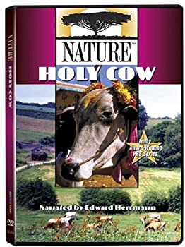 【中古】Nature: Holy Cow [DVD] [Import]