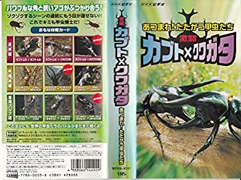 【中古】激闘 カブト×クワガタ ~あつまれ!たたかう甲虫たち~ [VHS]