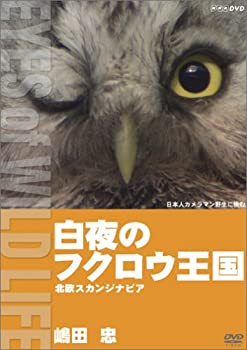 白夜のフクロウ王国 北欧スカンジナビア/嶋田忠 