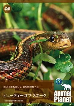 【中古】アニマルプラネット ビューティー・オブ・スネーク [DVD]【メーカー名】ビデオメーカー【メーカー型番】【ブランド名】【商品説明】【中古】アニマルプラネット ビューティー・オブ・スネーク [DVD]・中古品（ユーズド品）について商品画像はイメージです。中古という特性上、使用に影響ない程度の使用感・経年劣化（傷、汚れなど）がある場合がございます。商品のコンディション、付属品の有無については入荷の度異なります。また、中古品の特性上、ギフトには適しておりません。商品名に『初回』、『限定』、『〇〇付き』等の記載がございましても、特典・付属品・保証等は原則付属しておりません。付属品や消耗品に保証はございません。当店では初期不良に限り、商品到着から7日間は返品を受付けております。注文後の購入者様都合によるキャンセル・返品はお受けしていません。他モールでも併売している商品の為、完売の際は在庫確保できない場合がございます。ご注文からお届けまで1、ご注文⇒ご注文は24時間受け付けております。2、注文確認⇒ご注文後、当店から注文確認メールを送信します。3、在庫確認⇒新品、新古品：3-5日程度でお届け。※中古品は受注後に、再検品、メンテナンス等により、お届けまで3日-10日営業日程度とお考え下さい。米海外倉庫から取り寄せの商品については発送の場合は3週間程度かかる場合がございます。　※離島、北海道、九州、沖縄は遅れる場合がございます。予めご了承下さい。※配送業者、発送方法は選択できません。お電話でのお問合せは少人数で運営の為受け付けておりませんので、メールにてお問合せお願い致します。お客様都合によるご注文後のキャンセル・返品はお受けしておりませんのでご了承下さい。ご来店ありがとうございます。昭和・平成のCD、DVD、家電、音響機器など希少な商品も多数そろえています。レコード、楽器の取り扱いはございません。掲載していない商品もお探しいたします。映像商品にはタイトル最後に[DVD]、[Blu-ray]と表記しています。表記ないものはCDとなります。お気軽にメールにてお問い合わせください。