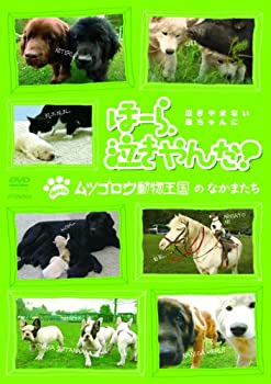 šۤۡ顢㤭! meets ĥưʪΤʤޤ [DVD]