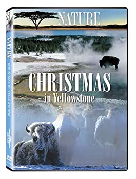 šNature: Christmas in Yellowstone [DVD] [Import]